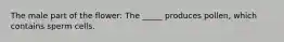 The male part of the flower: The _____ produces pollen, which contains sperm cells.