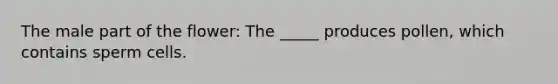 The male part of the flower: The _____ produces pollen, which contains sperm cells.