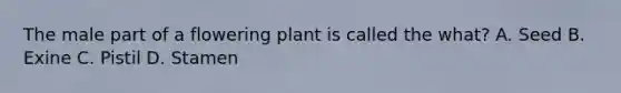 The male part of a flowering plant is called the what? A. Seed B. Exine C. Pistil D. Stamen