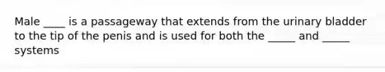 Male ____ is a passageway that extends from the urinary bladder to the tip of the penis and is used for both the _____ and _____ systems