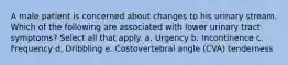 A male patient is concerned about changes to his urinary stream. Which of the following are associated with lower urinary tract symptoms? Select all that apply. a. Urgency b. Incontinence c. Frequency d. Dribbling e. Costovertebral angle (CVA) tenderness