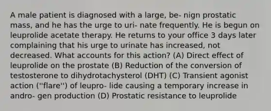 A male patient is diagnosed with a large, be- nign prostatic mass, and he has the urge to uri- nate frequently. He is begun on leuprolide acetate therapy. He returns to your office 3 days later complaining that his urge to urinate has increased, not decreased. What accounts for this action? (A) Direct effect of leuprolide on the prostate (B) Reduction of the conversion of testosterone to dihydrotachysterol (DHT) (C) Transient agonist action (''flare'') of leupro- lide causing a temporary increase in andro- gen production (D) Prostatic resistance to leuprolide