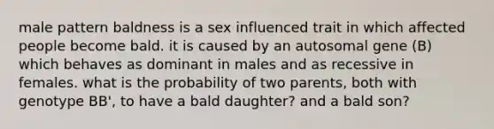 male pattern baldness is a sex influenced trait in which affected people become bald. it is caused by an autosomal gene (B) which behaves as dominant in males and as recessive in females. what is the probability of two parents, both with genotype BB', to have a bald daughter? and a bald son?