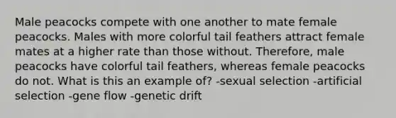 Male peacocks compete with one another to mate female peacocks. Males with more colorful tail feathers attract female mates at a higher rate than those without. Therefore, male peacocks have colorful tail feathers, whereas female peacocks do not. What is this an example of? -sexual selection -artificial selection -gene flow -genetic drift