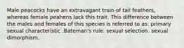 Male peacocks have an extravagant train of tail feathers, whereas female peahens lack this trait. This difference between the males and females of this species is referred to as: primary sexual characteristic .Bateman's rule. sexual selection. sexual dimorphism.