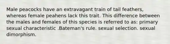 Male peacocks have an extravagant train of tail feathers, whereas female peahens lack this trait. This difference between the males and females of this species is referred to as: primary sexual characteristic .Bateman's rule. sexual selection. sexual dimorphism.