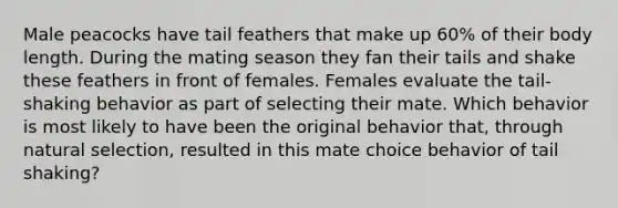 Male peacocks have tail feathers that make up 60% of their body length. During the mating season they fan their tails and shake these feathers in front of females. Females evaluate the tail-shaking behavior as part of selecting their mate. Which behavior is most likely to have been the original behavior that, through natural selection, resulted in this mate choice behavior of tail shaking?