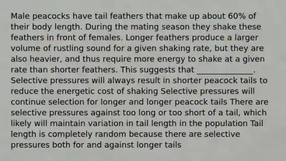 Male peacocks have tail feathers that make up about 60% of their body length. During the mating season they shake these feathers in front of females. Longer feathers produce a larger volume of rustling sound for a given shaking rate, but they are also heavier, and thus require more energy to shake at a given rate than shorter feathers. This suggests that ______________. Selective pressures will always result in shorter peacock tails to reduce the energetic cost of shaking Selective pressures will continue selection for longer and longer peacock tails There are selective pressures against too long or too short of a tail, which likely will maintain variation in tail length in the population Tail length is completely random because there are selective pressures both for and against longer tails