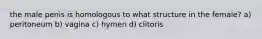 the male penis is homologous to what structure in the female? a) peritoneum b) vagina c) hymen d) clitoris