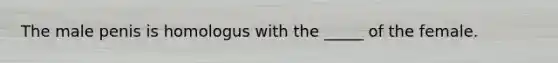 The male penis is homologus with the _____ of the female.