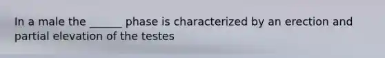 In a male the ______ phase is characterized by an erection and partial elevation of the testes