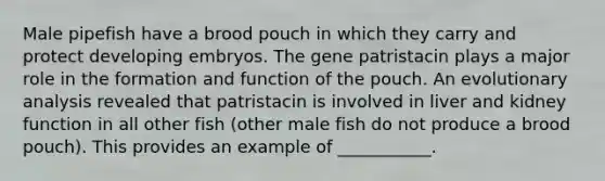 Male pipefish have a brood pouch in which they carry and protect developing embryos. The gene patristacin plays a major role in the formation and function of the pouch. An evolutionary analysis revealed that patristacin is involved in liver and kidney function in all other fish (other male fish do not produce a brood pouch). This provides an example of ___________.