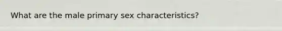 What are the male primary sex characteristics?