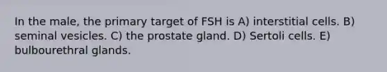 In the male, the primary target of FSH is A) interstitial cells. B) seminal vesicles. C) the prostate gland. D) Sertoli cells. E) bulbourethral glands.