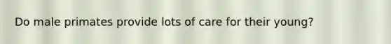 Do male primates provide lots of care for their young?