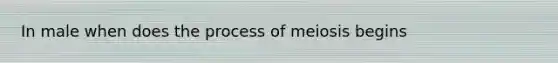 In male when does the process of meiosis begins