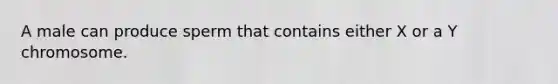 A male can produce sperm that contains either X or a Y chromosome.