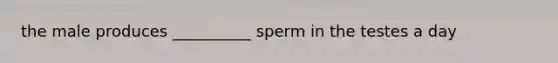 the male produces __________ sperm in the testes a day