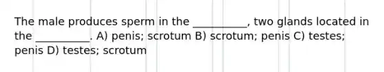 The male produces sperm in the __________, two glands located in the __________. A) penis; scrotum B) scrotum; penis C) testes; penis D) testes; scrotum