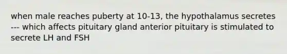 when male reaches puberty at 10-13, the hypothalamus secretes --- which affects pituitary gland anterior pituitary is stimulated to secrete LH and FSH