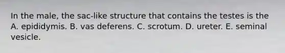 In the male, the sac-like structure that contains the testes is the A. epididymis. B. vas deferens. C. scrotum. D. ureter. E. seminal vesicle.