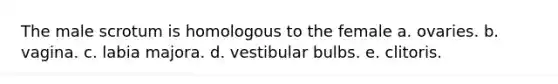 The male scrotum is homologous to the female a. ovaries. b. vagina. c. labia majora. d. vestibular bulbs. e. clitoris.