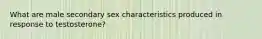 What are male secondary sex characteristics produced in response to testosterone?