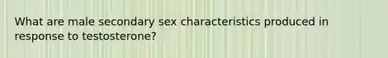 What are male secondary sex characteristics produced in response to testosterone?