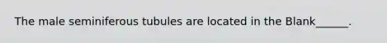 The male seminiferous tubules are located in the Blank______.