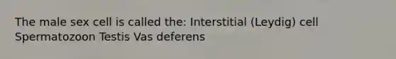 The male sex cell is called the: Interstitial (Leydig) cell Spermatozoon Testis Vas deferens