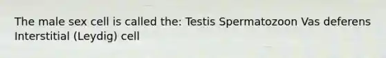 The male sex cell is called the: Testis Spermatozoon Vas deferens Interstitial (Leydig) cell