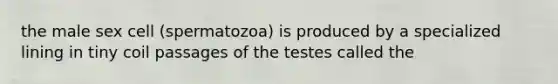 the male sex cell (spermatozoa) is produced by a specialized lining in tiny coil passages of the testes called the