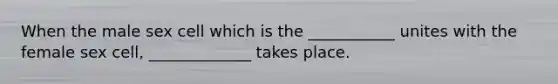 When the male sex cell which is the ___________ unites with the female sex cell, _____________ takes place.