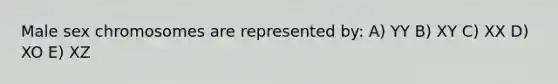 Male sex chromosomes are represented by: A) YY B) XY C) XX D) XO E) XZ