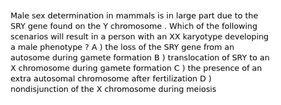 Male sex determination in mammals is in large part due to the SRY gene found on the Y chromosome . Which of the following scenarios will result in a person with an XX karyotype developing a male phenotype ? A ) the loss of the SRY gene from an autosome during gamete formation B ) translocation of SRY to an X chromosome during gamete formation C ) the presence of an extra autosomal chromosome after fertilization D ) nondisjunction of the X chromosome during meiosis