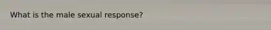 What is the male sexual response?