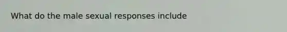 What do the male sexual responses include