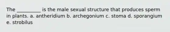 The __________ is the male sexual structure that produces sperm in plants. a. antheridium b. archegonium c. stoma d. sporangium e. strobilus