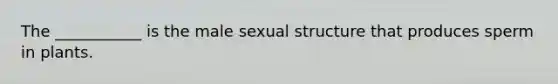 The ___________ is the male sexual structure that produces sperm in plants.