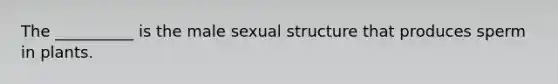 The __________ is the male sexual structure that produces sperm in plants.