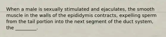 When a male is sexually stimulated and ejaculates, the smooth muscle in the walls of the epididymis contracts, expelling sperm from the tail portion into the next segment of the duct system, the _________.