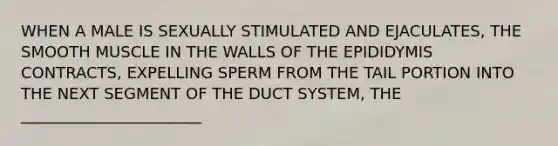 WHEN A MALE IS SEXUALLY STIMULATED AND EJACULATES, THE SMOOTH MUSCLE IN THE WALLS OF THE EPIDIDYMIS CONTRACTS, EXPELLING SPERM FROM THE TAIL PORTION INTO THE NEXT SEGMENT OF THE DUCT SYSTEM, THE _______________________