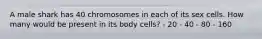 A male shark has 40 chromosomes in each of its sex cells. How many would be present in its body cells? - 20 - 40 - 80 - 160