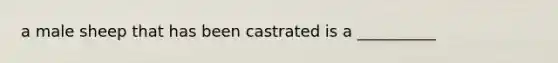 a male sheep that has been castrated is a __________