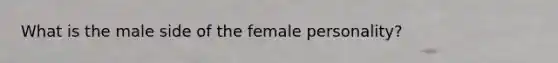 What is the male side of the female personality?