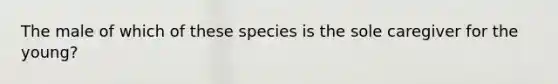 The male of which of these species is the sole caregiver for the young?