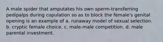 A male spider that amputates his own sperm-transferring pedipalps during copulation so as to block the female's genital opening is an example of a. runaway model of sexual selection. b. cryptic female choice. c. male-male competition. d. male parental investment.