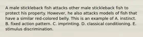 A male stickleback fish attacks other male stickleback fish to protect his property. However, he also attacks models of fish that have a similar red-colored belly. This is an example of A. instinct. B. fixed action pattern. C. imprinting. D. <a href='https://www.questionai.com/knowledge/kI6awfNO2B-classical-conditioning' class='anchor-knowledge'>classical conditioning</a>. E. stimulus discrimination.