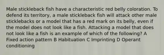 Male stickleback fish have a characteristic red belly coloration. To defend its territory, a male stickleback fish will attack other male sticklebacks or a model that has a red mark on its belly, even if the model does not look like a fish. Attacking a model that does not look like a fish is an example of which of the following? A Fixed action pattern B Habituation C Imprinting D <a href='https://www.questionai.com/knowledge/kcaiZj2J12-operant-conditioning' class='anchor-knowledge'>operant conditioning</a>