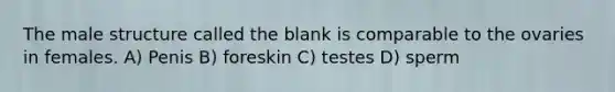 The male structure called the blank is comparable to the ovaries in females. A) Penis B) foreskin C) testes D) sperm